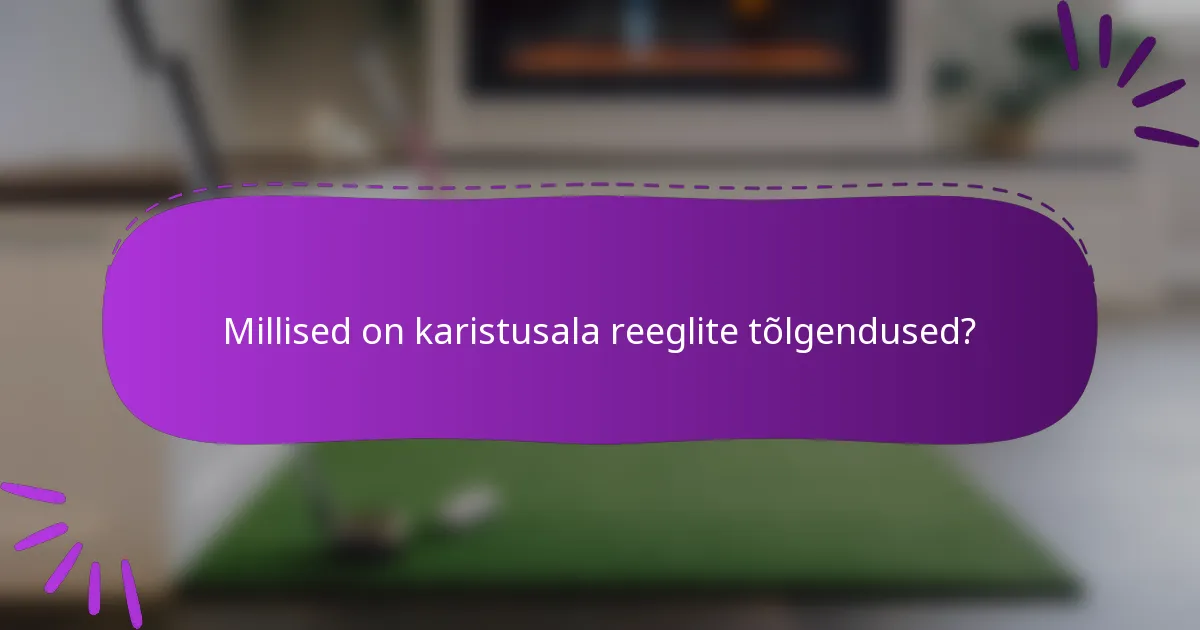 Millised on karistusala reeglite tõlgendused?