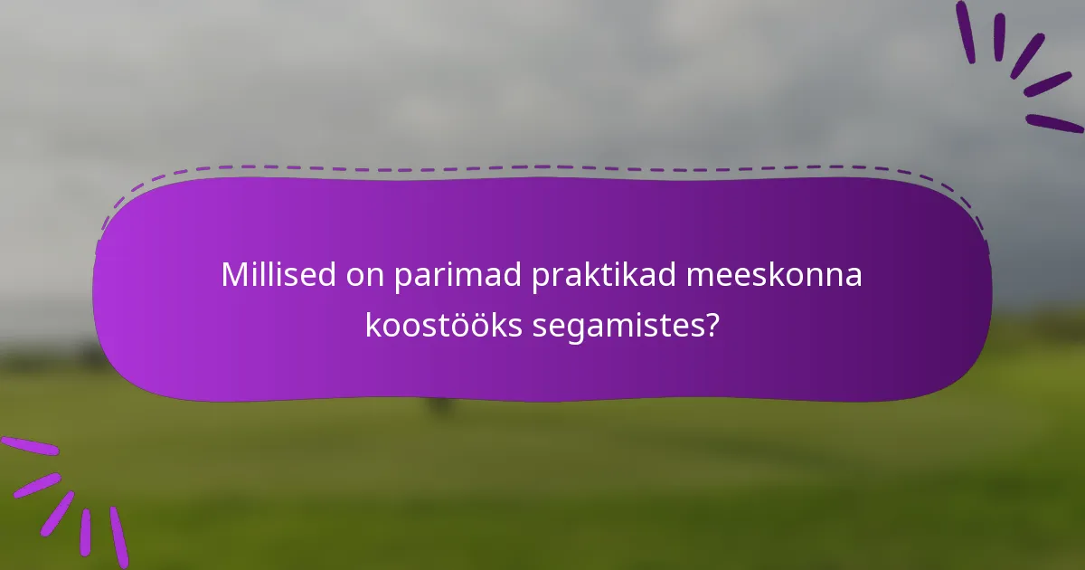 Millised on parimad praktikad meeskonna koostööks segamistes?